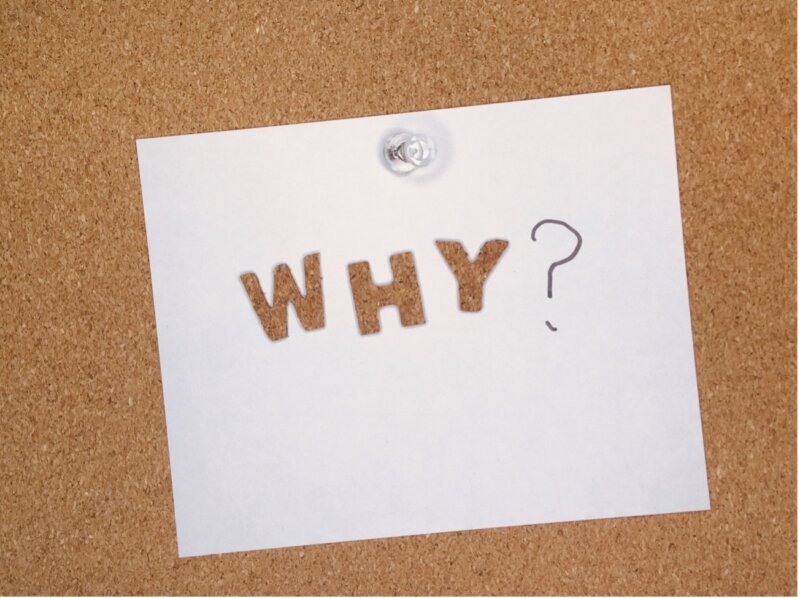 なぜ面白い?プリンコの人気が高い3つの理由