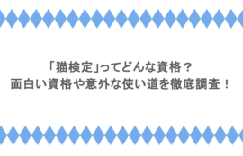 「猫検定」ってどんな資格?面白い資格や意外な使い道を徹底調査!