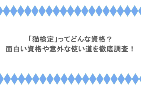 「猫検定」ってどんな資格?面白い資格や意外な使い道を徹底調査!